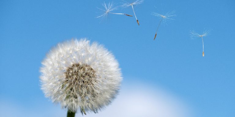 What Are Allergies And Allergens?